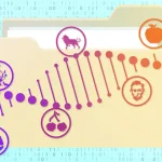 اولین مشخصات ذخیرهسازی دادهها در DNA منتشر شد: اولین گام به سوی تجاریسازی